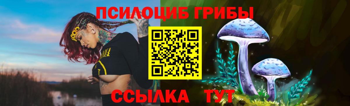 Псилоцибиновые грибы MAGIC MUSHROOMS  Псилоцибиновые грибы Psilocybine cubensis  купить   Вход с VPN  Конаково 